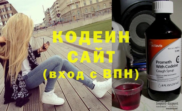 хмурый Верея